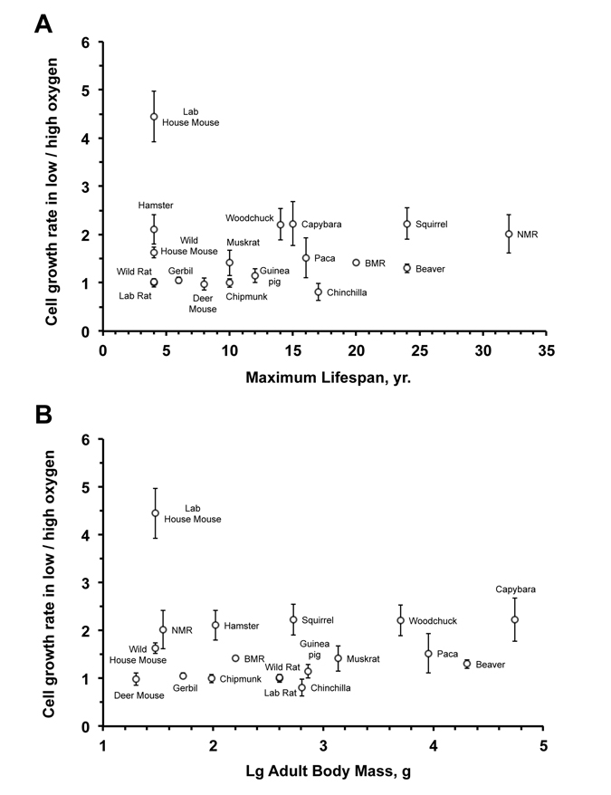 Fibroblast sensitivity to oxygen does not correlate with maximum lifespan (A) or body mass (B)