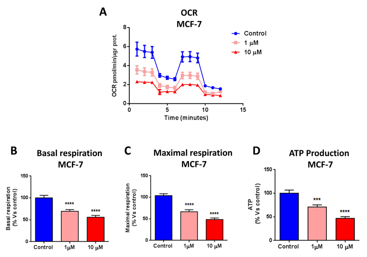 Bedaquiline greatly diminishes oxygen consumption in MCF7 breast cancer cells