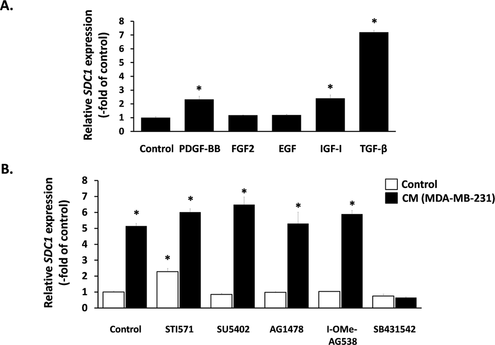 Effect of exogenous and paracrine growth factors on SDC1 expression in human breast stromal fibroblasts