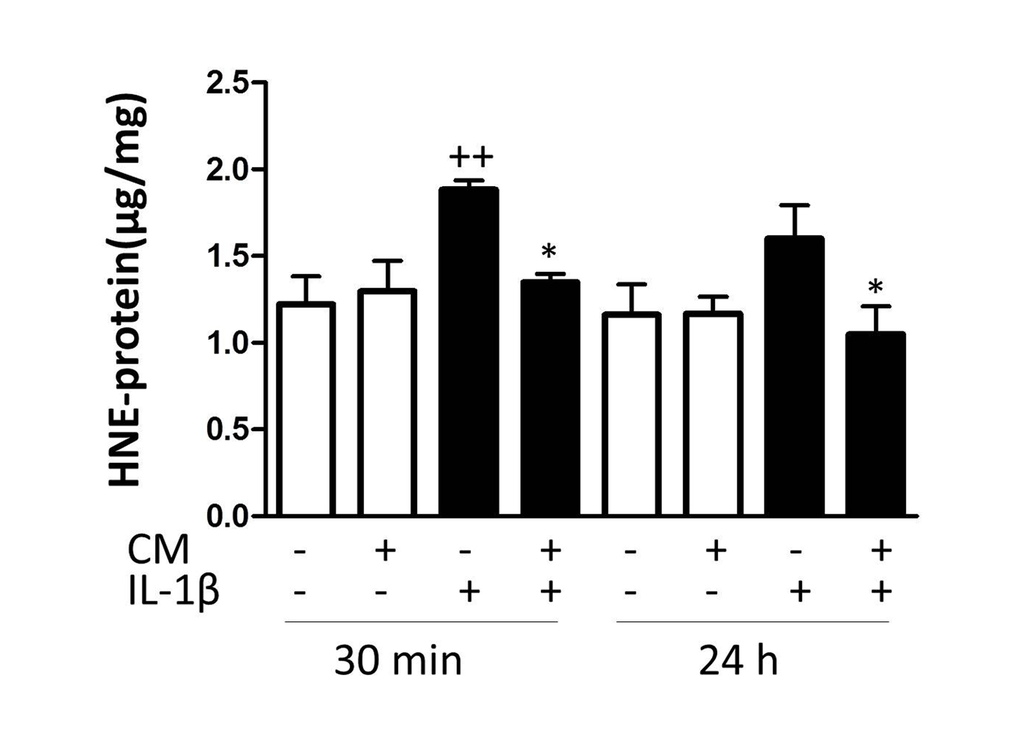 Effect of CM on oxidative stress induced by IL-1β in OA chondrocytes. The intracellular levels of HNE-modified proteins were quantified by ELISA. OA chondrocytes were incubated with IL-1β and/or CM for the indicated times. Data are shown as mean±standard deviation of N=9 separate experiments with cells from separate donors. ++p