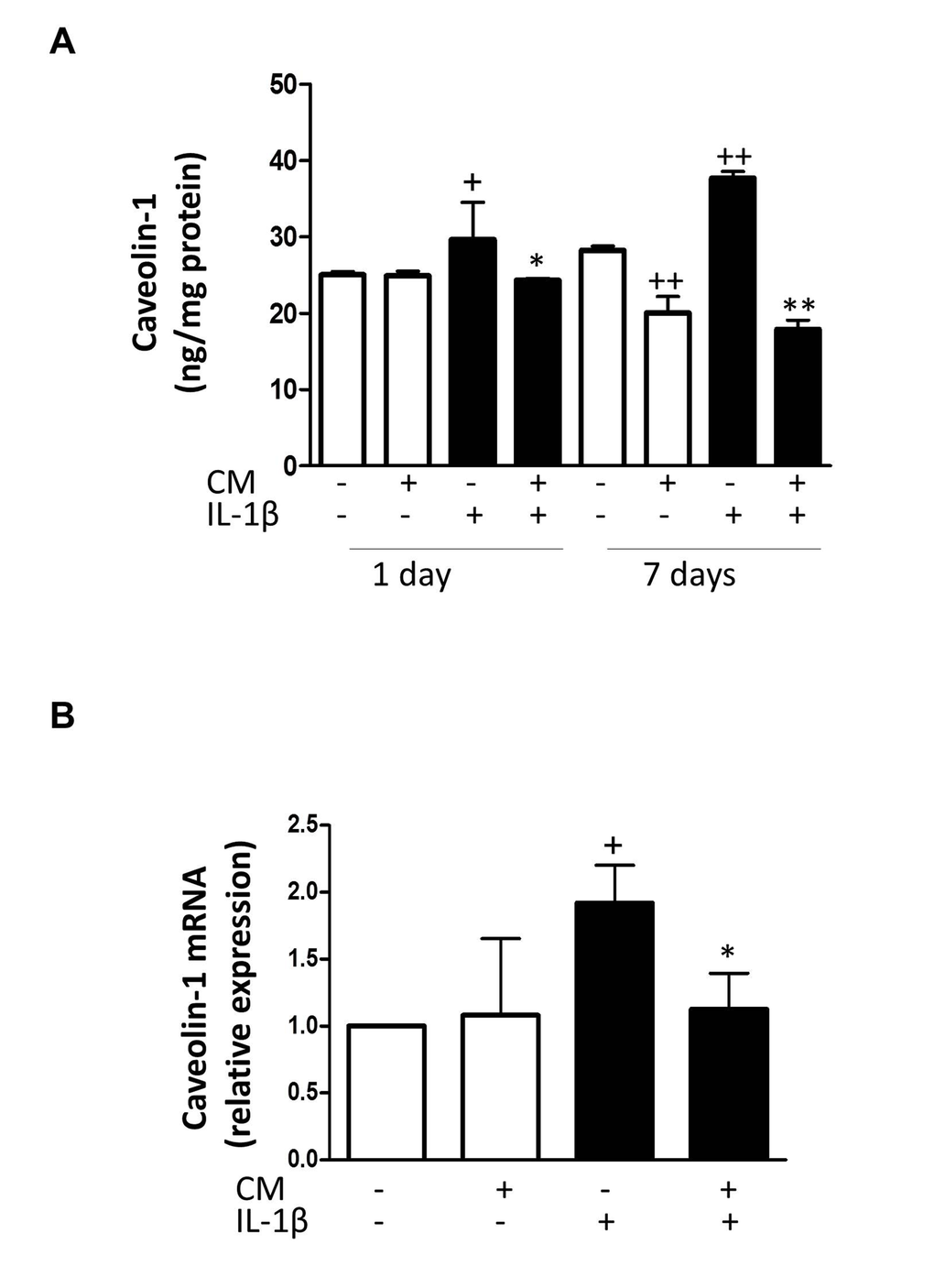 Effect of CM on caveolin-1. (A) Protein levels of caveolin-1 were assessed by ELISA. OA chondrocytes were incubated with IL-1β and/or CM for the indicated times. (B) Caveolin-1 mRNA expression was determined by quantitative real-time PCR. OA chondrocytes were incubated with IL-1β and/or CM for 24 hours. Data are shown as mean±standard deviation of N=4 separate experiments with cells from separate donors. +p