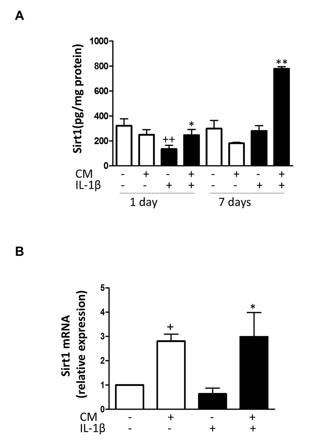 Effect of CM on Sirt1. (A) Protein levels of Sirt1 were assessed by ELISA. OA chondrocytes were incubated with IL-1β and/or CM for the indicated times. (B) Sirt1 mRNA expression was determined by quantitative real-time PCR. OA chondrocytes were incubated with IL-1β and/or CM for 24 hours. Data are shown as mean±standard deviation of N=8 separate experiments with cells from separate donors. +p