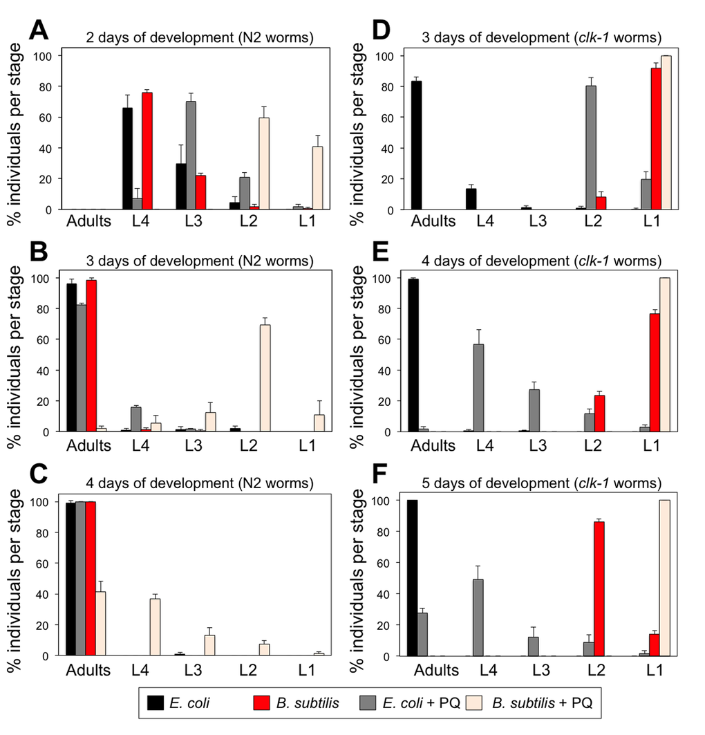 Treatment with PQ severely affects the development of worms feeding on coQ-less B. subtilis and development of coQ-deficient clk-1 mutant worms. (A-C) Development of synchronized wild type N2 L1 larvae after 2, 3 and 4 days feeding on E. coli or B. subtilis with or without PQ treatment (0.1 mM). (A-C) Development of synchronized clk-1(qm30) L1 larvae after 3, 4 and 5 days feeding on E. coli or B. subtilis with or without PQ treatment (0.1 mM). (A-F) y-axis shows percentage of individuals that reached each developmental stage after the indicated time. x-axis shows developmental stages. Bars indicate the mean value ± S.D. n = 118-196 worms per group.