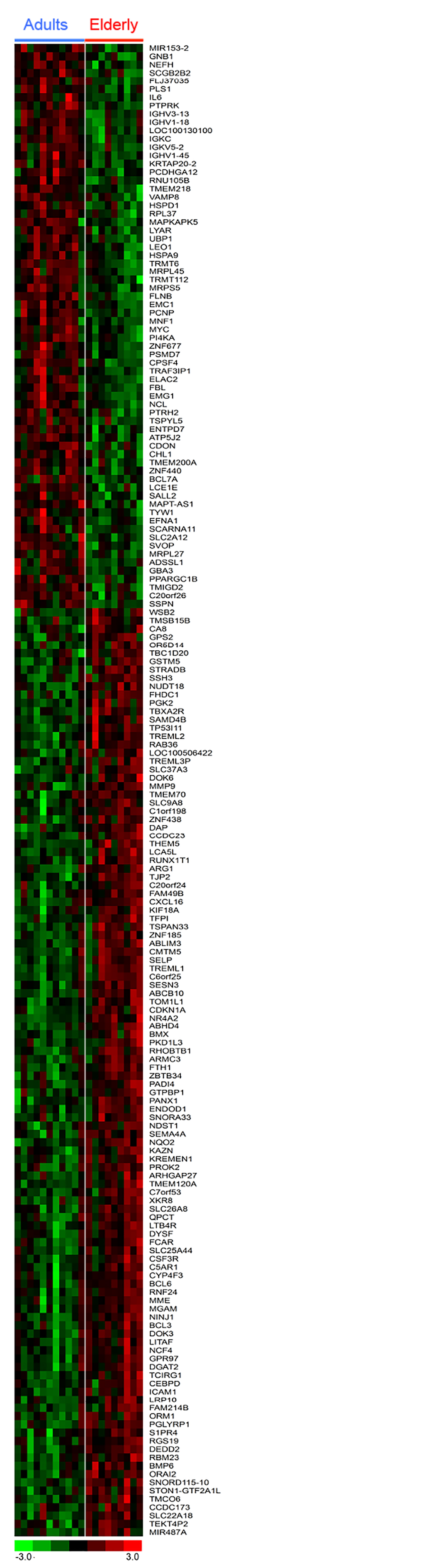 Heatmap of differen-tially expressed genes between blood samples of Adult and Elderly groups. Expression profile of 180 genes that differed between Adults and Elderly (p Table S1.