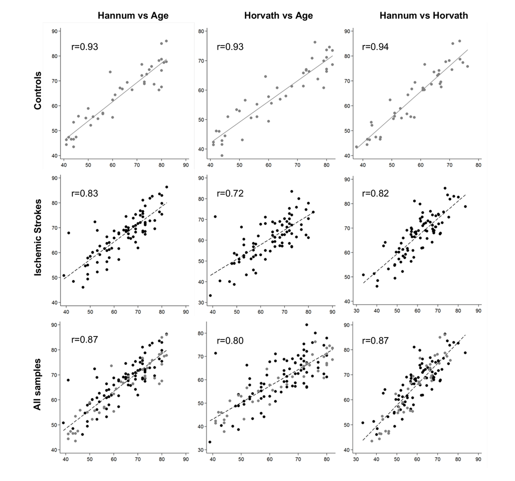 Plots of predicted methylation age (Hannum and Horvath) against chronological age and plots of Hannum versus Horvath predicted methylation age. r, Pearson correlation.