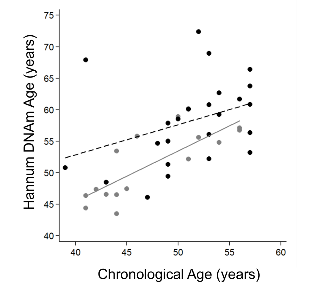Hannum DNA methylation Age versus chronological age of younger adults (≤57 years old). Grey and black circles in the scatterplot denote samples from controls and cases, respectively. The grey line represents a linear regression line through control samples. The black dashed line represents a linear regression line through IS cases, OR=1.13 (95%CI 1.03-1.23), p-value 0.01.