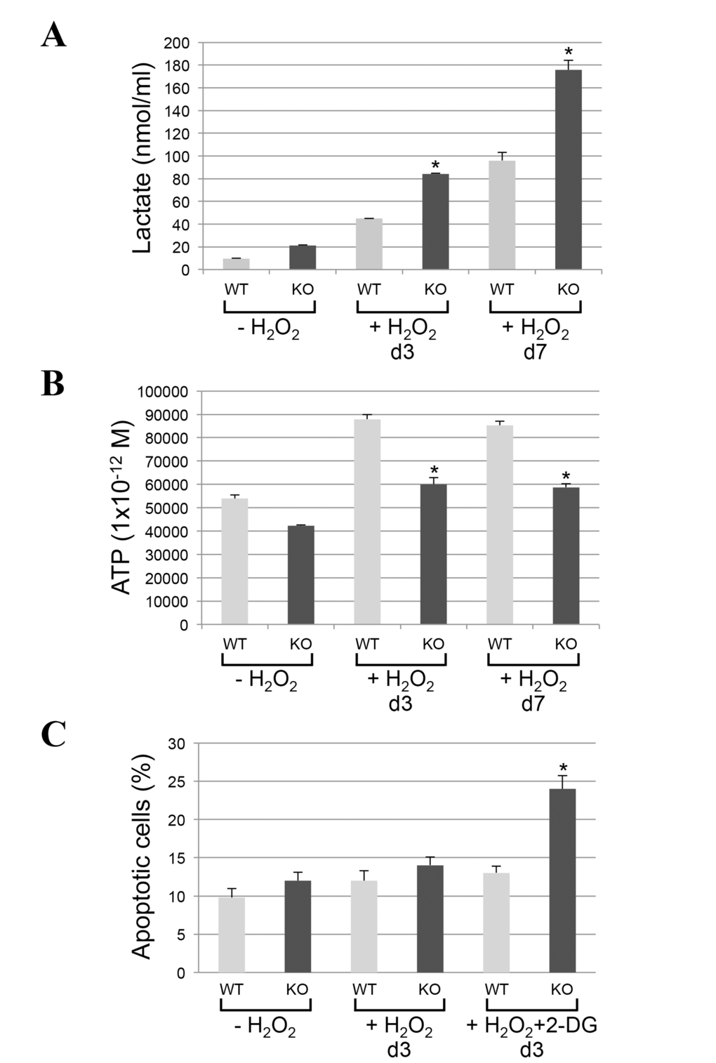 Lactate production is increased and ATP synthesis is inhibited in caveolin-1-lacking fibroblasts following oxidative stress. (A-B) Wild type and caveolin-1 null mouse embryonic fibroblasts (MEFs) were treated with sublethal doses of hydrogen peroxide (150 μM) for 2 hours. Cells were then recovered in complete medium for different periods of time (3 days and 7 days). Untreated cells (-H2O2) were used as control. (A) Lactate production was quantified using the Lactate Assay Kit from Sigma-Aldrich (MAK064). (B) ATP production was quantified using the Adenosine 5′-triphosphate (ATP) Bioluminescent Assay Kit from Sigma-Aldrich (FL-AA). Values were normalized to cell number. (C) Wild type and caveolin-1 null mouse embryonic fibroblasts (MEFs) were treated with sublethal doses of hydrogen peroxide (150 μM) for 2 hours in the presence or absence of 2-deoxy-D-glucose (2-DG; 5mM). Cells were recovered in complete medium for 3 days in the presence or absence of 2-DG. Untreated cells (-H2O2) were used as control. Cells were stained with DAPI and the number of cells showing nuclear condensation was quantified. Values in (A-C) represent mean ± SEM; *P