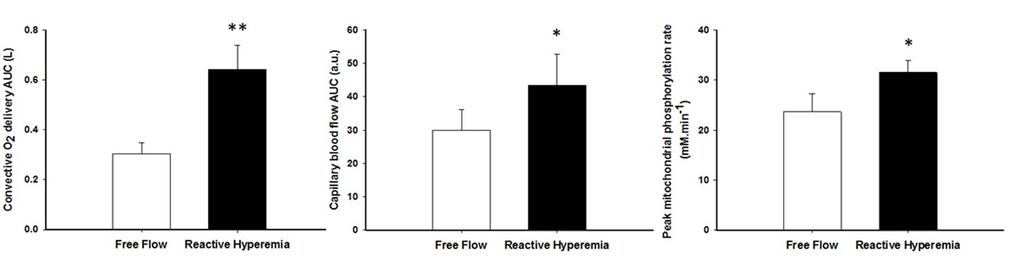 The effect of superimposing reactive hyperemia on the recovery from plantar flexion exercise on convective oxygen delivery (left panel), capillary blood flow (middle panel), and peak mitochondrial phosphorylation rate (Vmax)(right panel). Data are presented as mean ± SEM. * Reactive hyperemia significantly different from free flow condition (P P 