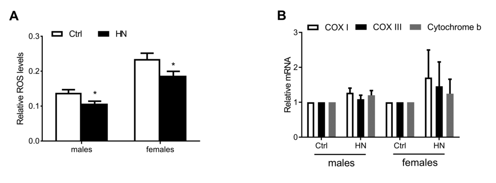 Decreased ROS production by HN exposure. (A) ROS generation was reduced in HN-treated flies (male, p =0.013; female, p =0.035). (B) The expression levels of mitochondrial DNA were not changed in both sex. Error bars denote SEM. * = p p p 