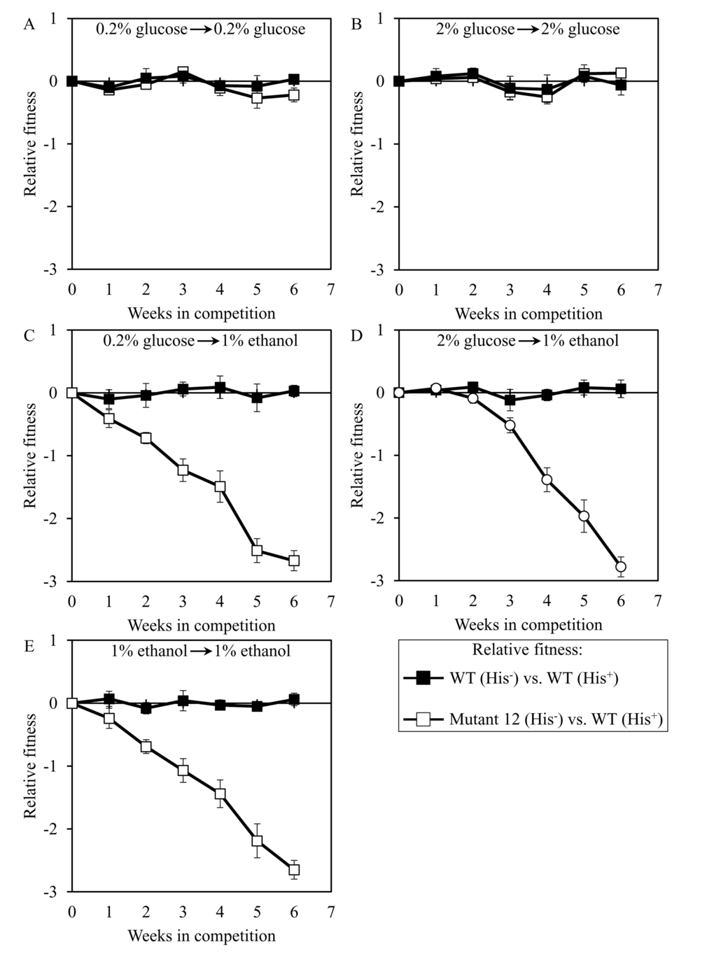 Dominant polygenic trait extending longevity of the long-lived yeast mutant 12 decreases its relative fitness in medium initially containing 1% ethanol. The WT strains BY4742 (His-) and BY4739 (His+, but otherwise isogenic to BY4742) were cultured separately in the complete YP medium containing 0.2% glucose, 2% glucose or 1% ethanol glucose until mid-exponential phase. Another pair of strains whose relative fitness was measured, namely the long-lived mutant strain 12 (His-; selected during lasting exposure of BY4742 to LCA) and the WT strain BY4739 (His+), was also cultured separately in YP medium containing 0.2% glucose 2% glucose or 1% ethanol glucose until mid-exponential phase. Cells of the His+ strain were mixed with the same number of cells of the His- strain and then co-cultured for 7 days in liquid YP medium initially containing different carbon sources. Cells of the His- and His+ strains pre-cultured separately on 0.2% glucose were subjected to direct fitness competition by being cultured together on 0.2% glucose (A) or 1% ethanol (C). Cells of the His- and His+ strains pre-cultured separately on 2% glucose were subjected to direct fitness competition by being cultured together on 2% glucose (B) or 1% ethanol (D). Cells of the His- and His+ strains pre-cultured separately on 1% ethanol were subjected to direct fitness competition by being cultured together on 1% ethanol (E). After culturing the cell mixture for 7 days, an aliquot of cell suspension was used to measure the relative fitness of the His+ strain in a direct competition with the His- strain (as described in ″Materials and Methods″). The direct fitness competition step of culturing a cell mixture for 7 days in liquid YP medium was repeated 6 times.