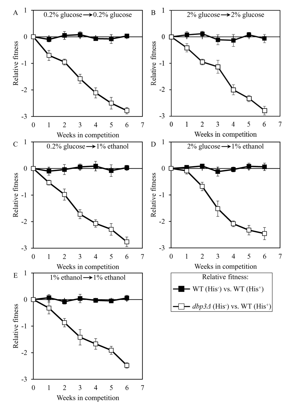 Validation of the developed assay for quantifying the relative fitness of a long-lived mutant strain in direct competition with a parental WT strain. The WT strains BY4742 (His-) and BY4739 (His+, but otherwise isogenic to BY4742) were cultured separately in the complete YP medium containing 0.2% glucose, 2% glucose or 1% ethanol glucose until mid-exponential phase. Another pair of strains whose relative fitness was measured, namely the long-lived mutant strain dbp3Δ (His-; is isogenic to BY4742) and the WT strain BY4739 (His+), was also cultured separately in YP medium containing 0.2% glucose 2% glucose or 1% ethanol glucose until mid-exponential phase. Cells of the His+ strain were mixed with the same number of cells of the His- strain and then co-cultured for 7 days in liquid YP medium initially containing different carbon sources. Cells of the His- and His+ strains pre-cultured separately on 0.2% glucose were subjected to direct fitness competition by being cultured together on 0.2% glucose (A) or 1% ethanol (C). Cells of the His- and His+ strains pre-cultured separately on 2% glucose were subjected to direct fitness competition by being cultured together on 2% glucose (B) or 1% ethanol (D). Cells of the His- and His+ strains pre-cultured separately on 1% ethanol were subjected to direct fitness competition by being cultured together on 1% ethanol (E). After culturing the cell mixture for 7 days, an aliquot of cell suspension was used to measure the relative fitness of the His+ strain in direct competition with the His- strain (as described in ″Materials and Methods″). The direct fitness competition step of culturing a cell mixture for 7 days in liquid YP medium was repeated 6 times.