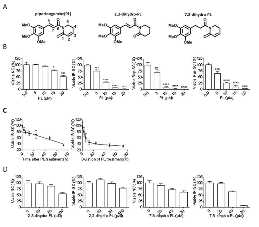 Senolytic activity of piperlongumine (PL). (A) Structures of PL, 2,3-dihydro-PL, and 7,8-dihydro-PL. (B) Quantification of viable WI-38 non-senescent cells (NC), IR-induced senescent cells (IR-SC), replication-exhausted senescent cells (Rep-SC), or Ras-induced senescent cells (Ras-SC) 72 h after treatment with increasing concentrations of PL (n = 3). (C) Quantification of viable IR-SCs over time after treatment with 10 µM PL (left) or after incubation with 10 µM PL, removal of the drug, and further culture for 72 h (right) (n = 3). (D) Quantification of viable WI-38 NCs and IR-SCs 72 h after treatment with increasing concentrations of 2,3-dihydro-PL or 7,8-dihydro-PL (n = 3). Data are represented as the mean ± SEM.