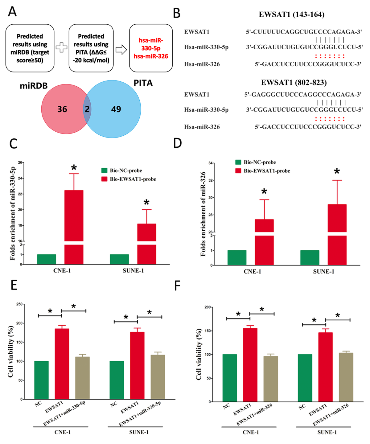 Long noncoding RNA EWSAT1 promotes human nasopharyngeal carcinoma cell growth in vitro by