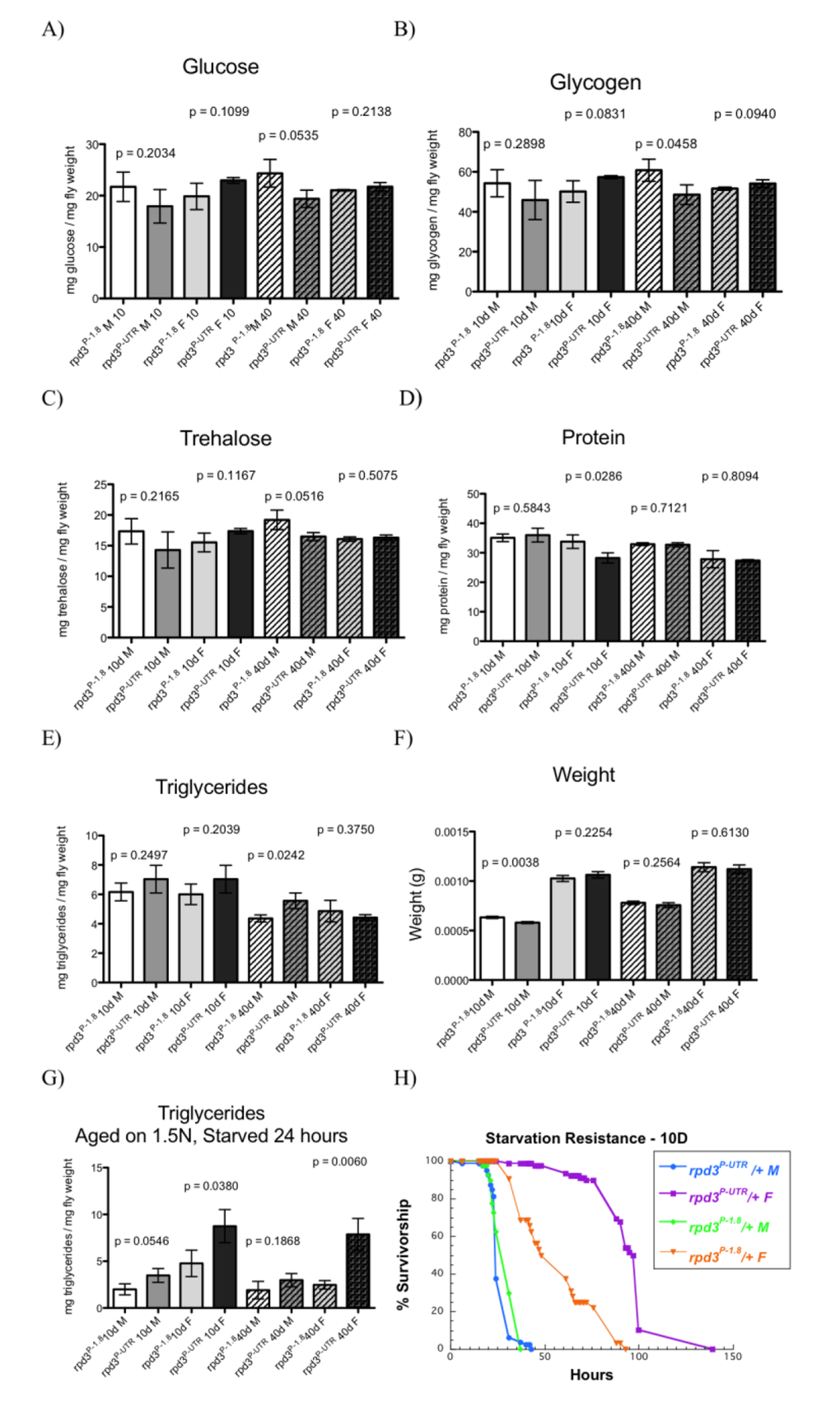 rpd3 reduction affects fly intermediary metabolism. (A-E) Total glucose (A), glycogen (B), trehalose (C), protein (D) and triglyceride (E) levels in rpd3P-UTR/+ (experimental) and rpd3P-1.8/+ (control) male and female flies at age 10 and 40 days. F) Weight of male and female flies used in (C-E). (G). Total triglyceride levels in rpd3P-UTR/+ and rpd3P-1.8 /+ flies aged on 1.5N for 10 or 40 days and then starved for 24 hours. Data are presented as means + SD (n=3, 30 flies per replicate. t test) (H) rpd3 reduction increases stress resistance in flies. Survival curves of rpd3P-UTR/+ and rpd3P-1.8/+ male and female flies during starvation at 10 of age.
