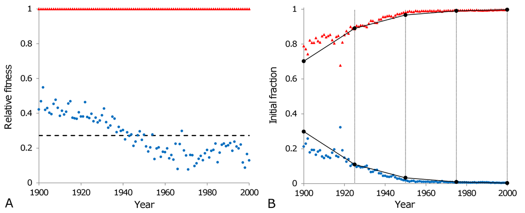 Population homogenisation as a consequence of natural selection. The relative fitnesses of individuals belonging to the third (blue circles) and the fourth (red triangles) subpopulations, as calculated according to the formulas in Table 3, are shown in panel (A). The relative fitness of the third subpopulation varies from year to year with an average value of 0.27 (black dashed line) over the entire century. This average value is used to calculate the changes in genotype frequencies due to natural selection as shown in panel (B) (black circles), over four generations (each lasting 25 calendar years as indicated by the vertical lines in panel (B). Calculated genotype frequencies are interpolated linearly (solid lines connecting circles in panel (B) within each generation to be comparable with the normalised initial fractions of the third (blue circles) and the fourth (red triangles) subpopulations modeled to fit the Swedish data for the period 1900 to 2000.