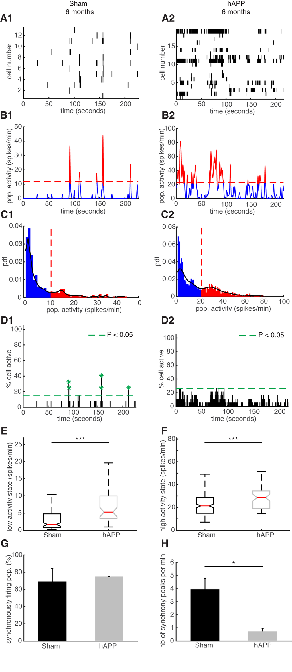 Neuronal synchronicity is disrupted in the PFC of hAPP mice 6 mpi. (A) Representative raster plots for one population of simultaneously recorded neurons. Each row corresponds to the spiking activity of one neuron. (B) Mean neural activity for the populations in (A). The activity was smoothed through Gaussian filtering. The red periods correspond to the high activity states and the blue periods to the low activity states. The dotted red line represents the computed threshold between the two states. (C) Probability density function (pdf) of the population activity exhibited in (B). The black line represents the smoothed pdf, through Gaussian filtering. Red bars represent the high activity states and blue bars the low activity states. (D) Histogram representing the percentage of cells active in small time bins (~ 0.144 sec), for the population activity in (A). Asterisks mark significant peaks of synchrony. (E) Boxplots of low activity states for each mouse group (spikes/min). (F) Boxplots of high activity states for each mouse group (spikes/min). (G) Percentage of populations (simultaneously imaged neurons) exhibiting synchronous activity. (H) Mean number of synchrony peaks per minute for the different animal groups. (1) sham and (2) hAPP mice.