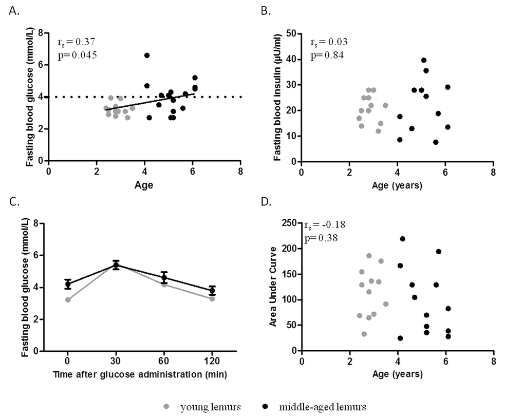 Relationship between glucose homeostasis parameters and age. Glucose metabolism parameters were evaluated in young (grey symbols, range: 2.4 to 3.5 years old) and middle-aged (black symbols, range: 4.1 to 6.1 years old) mouse lemurs. (A) Spearman correlation of fasting blood glucose levels and age. (B) Spearman correlation of fasting blood insulin levels and age. (C) Oral glucose tolerance test (OGTT): Blood glucose was measured 0, 30, 60 and 120 min after oral administration of 1.75g glucose/g of body mass (Two-way ANOVA: age pD) Spearman correlation of area under curve of OGTT and age.