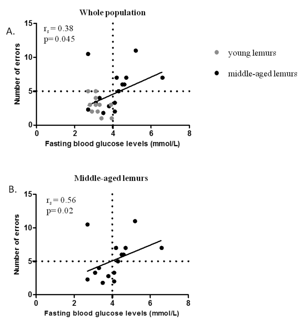 Relationship between fasting blood glucose and spatial memory performance. (A) Spearman correlation between fasting blood glucose levels and number of errors in all lemurs (young in grey symbols and middle-aged in black symbols). (B) Spearman correlation between fasting blood glucose levels and number of errors in middle-aged lemurs only. Horizontal and vertical dotted lines illustrate the threshold differentiating good and poor performers in spatial memory test or high and normal blood glucose levels, respectively.