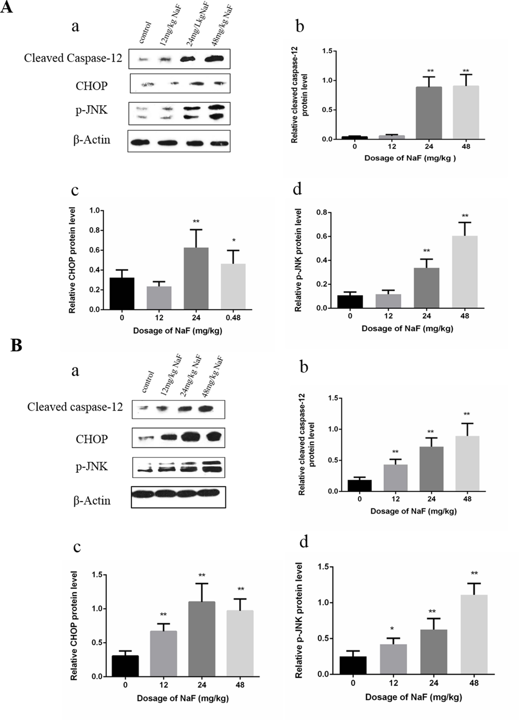 Effect of NaF on apoptosis-related protein in mice spleen at 21(A) and 42 (B) days of age. (a) The western blot assay. (b-d) Quantitative analysis of protein expression. Data are presented with the means ± standard deviation, * p p 