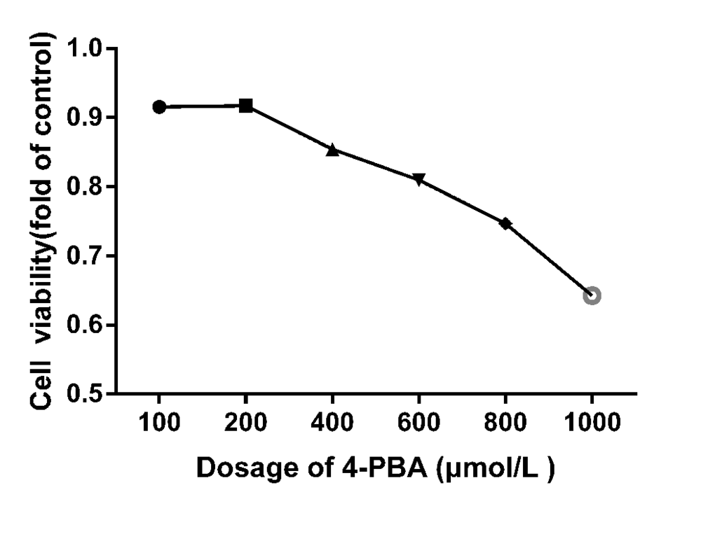 Cell viabilities of 4-PBA treated splenic lymphocytes for 48 h. The cell viability was determined using a CCK8 assay as described in the methodology section. The splenic lymphocytes were incubated with different 4-PBA concentrations for 48 h. Data were analyzed by the variance (ANOVA) test of the SPSS 19.0 software.