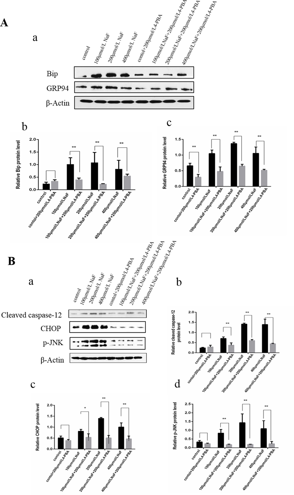 Effect of NaF and NaF-combined with 4-PBA treatment on protein expression levels of Bip, GRP94, cleaved caspase-12, p-JNK and CHOP in cultured splenic lymphocytes at 48 h. (a) The western blot assay. (b-c) Quantitative analysis of protein expression. Data are presented with the means ± standard deviation, * p p 