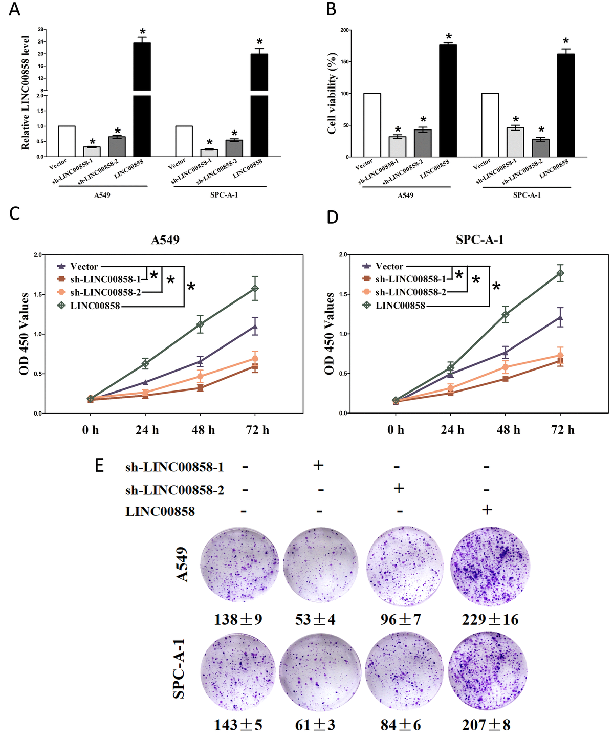 long-intergenic-non-protein-coding-rna-00858-functions-as-a-competing