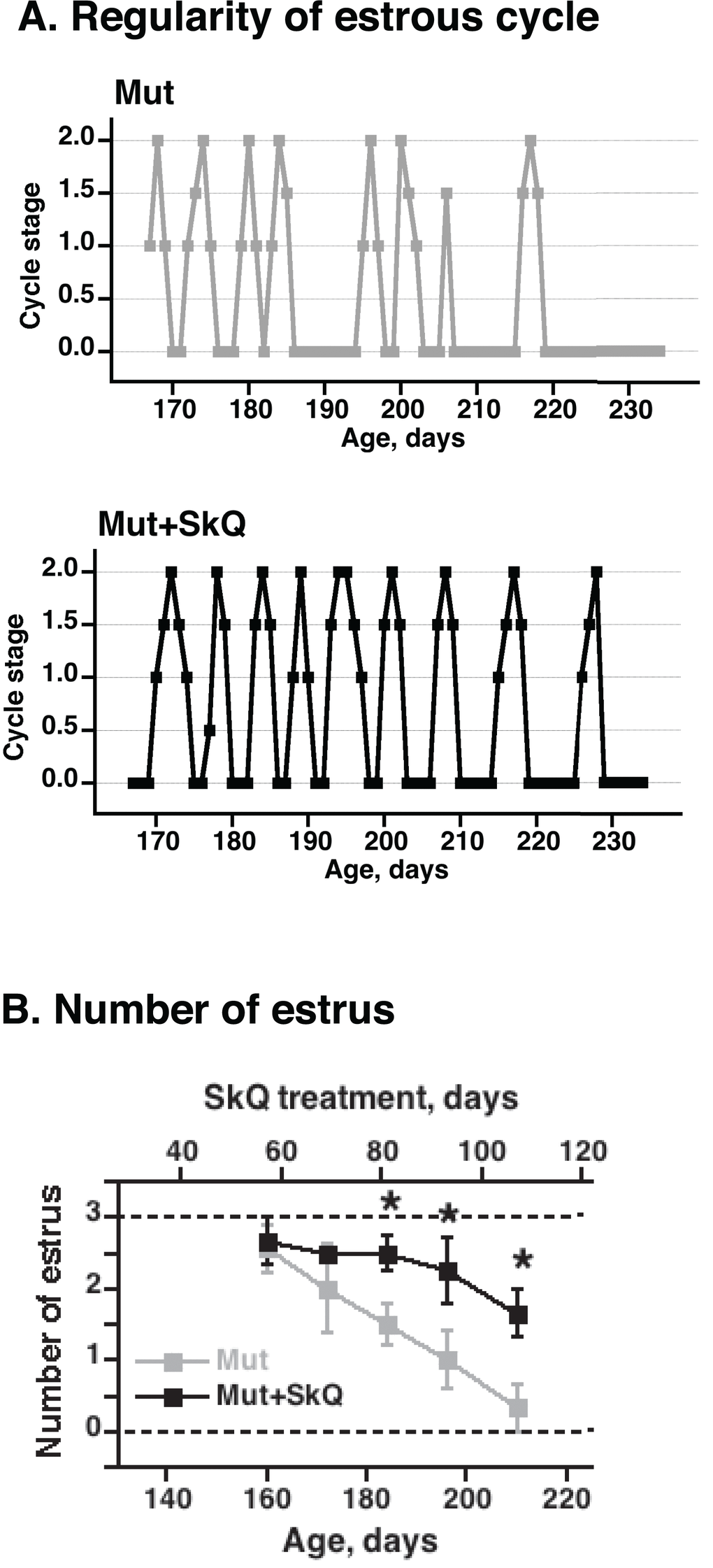 Effects of SkQ1 treatment on estrus cycle in mtDNA mutator mice. (A) Examples of graphs of estrus cycles in non-treated and SkQ-treated mtDNA mutator female mice. Examination of estrus cycle was done by light microscopy of vaginal smears. Estrus was characterized by the presence of large cornified cells with degenerated nuclei and was indicated as estrus stage 2 on the graphic presentation. Diestrus was identified by presence of leucocytes and mucous and was indicated as 0 on graphs. Proestrus and metestrus were characterized by the presence of nucleated epithelial cells or leucocytes together with cornified cells and were indicated on the graphs as intermediate stages 0.5 – 1.5. (B) Number of estruses during 12 days measured as a function of age (± 7 days). The points are means ± S.E. of 7-8 female mice for each group. * indicates a statistically significant difference between non-treated and SkQ1-treated mice (p 