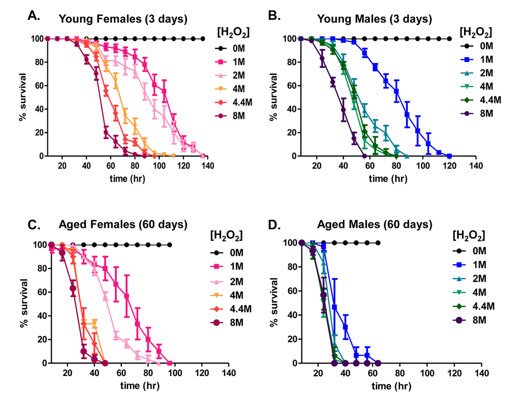 Hydrogen peroxide resistance declines with age. (A-D) Males and females of the Actin-GS-255B strain crossed to the w[1118] strain were aged to 3 days or 60 days and then transferred to vials containing kimwipes soaked in 1.0M to 8.0M H2O2 dissolved in 5% sucrose solution, and flies were scored as dead when completely immobile, as described previously [43]. (A) 3 day old females. (B) 3 day old males. (C) 60 day old females. (D) 60 day old males.