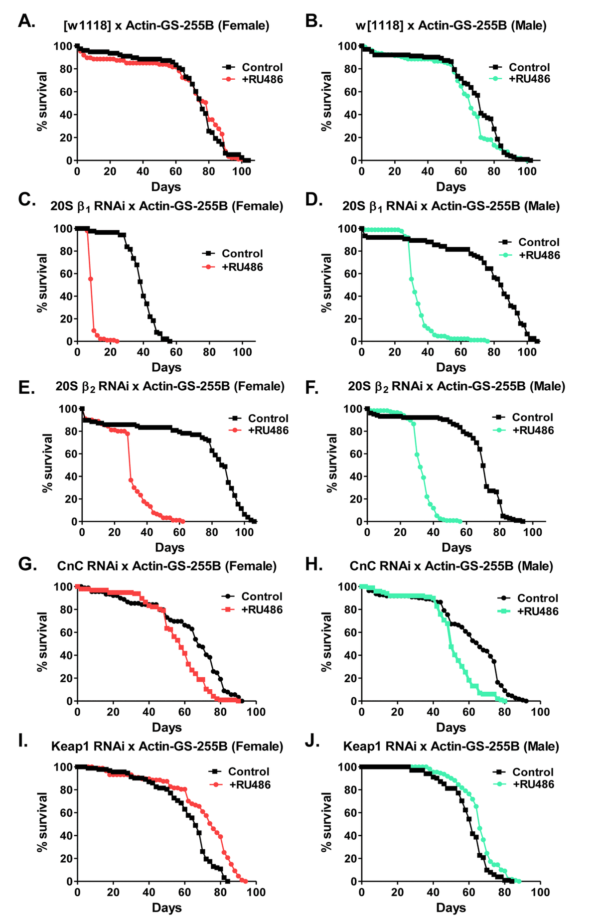 The Age And Sex Specific Decline Of The 20s Proteasome And The Nrf2cncc Signal Transduction 1920