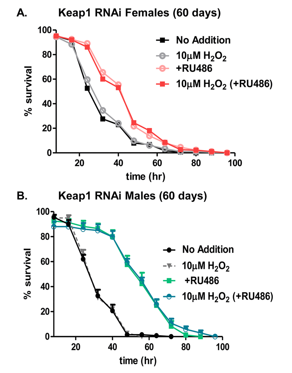 Hydrogen peroxide stress resistance improves with continual knockdown of Keap1 in aged (60 days) flies. In panels A and B, male and female progeny of the Actin-GS-255B strain crossed to Keap1 RNAi strain were collected and aged to 60 days. (A) Females raised in the absence of RU486 were either pretreated with 10µM H2O2 (gray line) “10µM H2O2” or not pre-treated with H2O2 (black line) “No Additions”. Females raised in the presence of RU486 were either pretreated with 10µM H2O2 (red line) “10µM H2O2 (+RU486)” or not pretreated with H2O2 (pink line) “+RU486”. (B) Males raised in the absence of RU486 were either pretreated with 10µM H2O2 (gray line) “10µM H2O2” or not pre-treated with H2O2 (black line) “No Additions”. Males raised in the presence of RU486 were either pretreated with 10µM H2O2 (blue line) “10µM H2O2 (+RU486)” or not pretreated with H2O2 (green line) “+RU486”. Statistical difference in survival (p Supplementary Table S4.