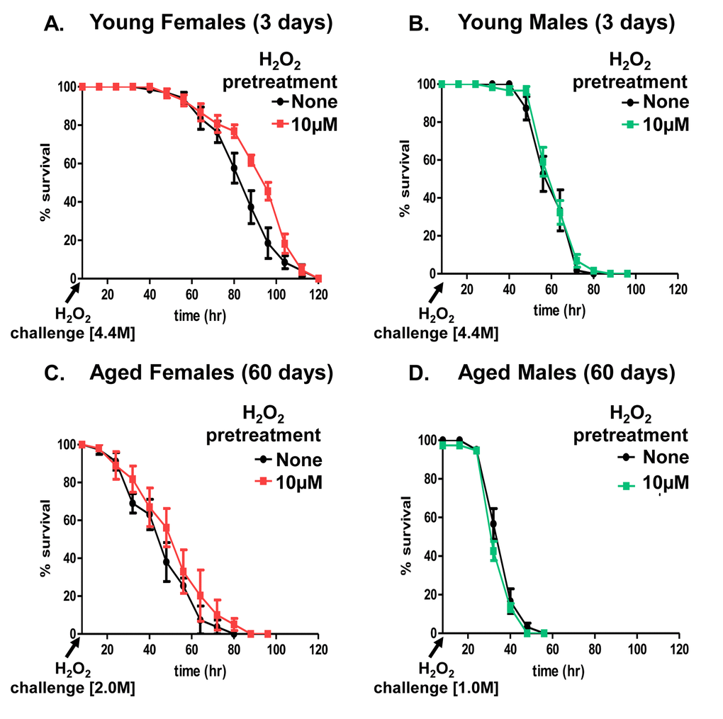 Adaptation to hydrogen peroxide declines with age in females. Progeny of the Actin-GS-255B strain crossed to the w[1118] strain were aged to 3 days and 60 days prior to H2O2 pretreatment. Following recovery, flies were fed H2O2 challenge dose: 4.4M in 3 day old males and females, 2M in 60 day old females, and 1M in 60 day old males. (A) 3 day old females showed increased survival following pretreatment. (B) 3 day old males showed no change in survival following pretreatment. (C) With age, 60 day old females no longer show increased survival. (D) 60 day old males show no change in adaptation following pretreatment. Statistical difference in survival (p Supplementary Table S1.