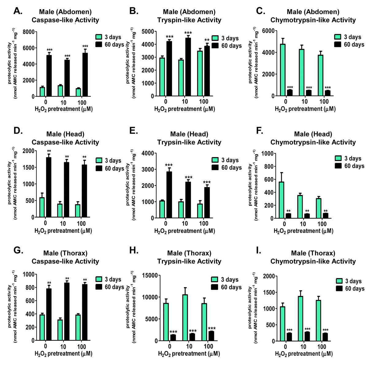 The Age And Sex Specific Decline Of The 20s Proteasome And The Nrf2cncc Signal Transduction 8993