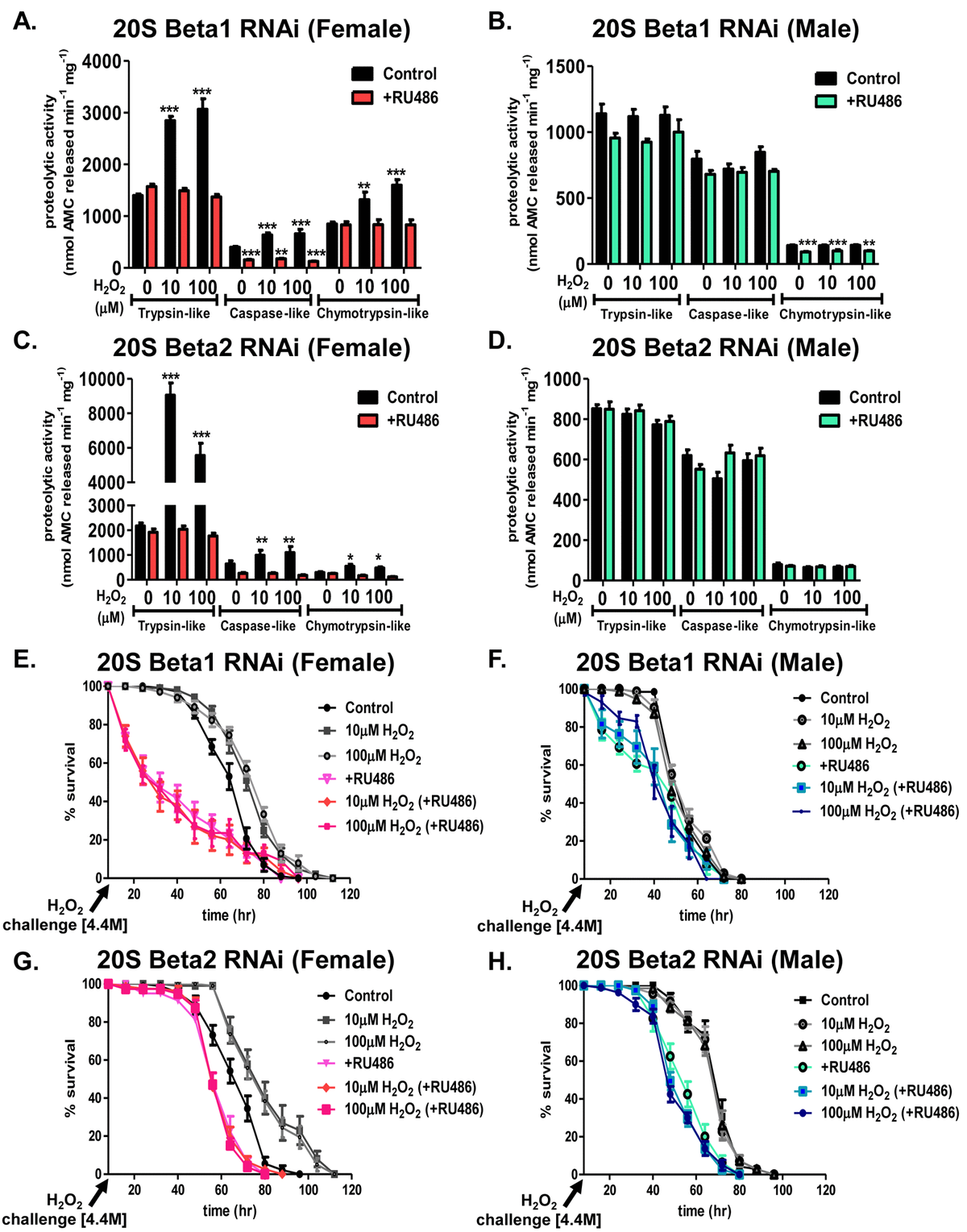 The Age And Sex Specific Decline Of The 20s Proteasome And The Nrf2cncc Signal Transduction 2321