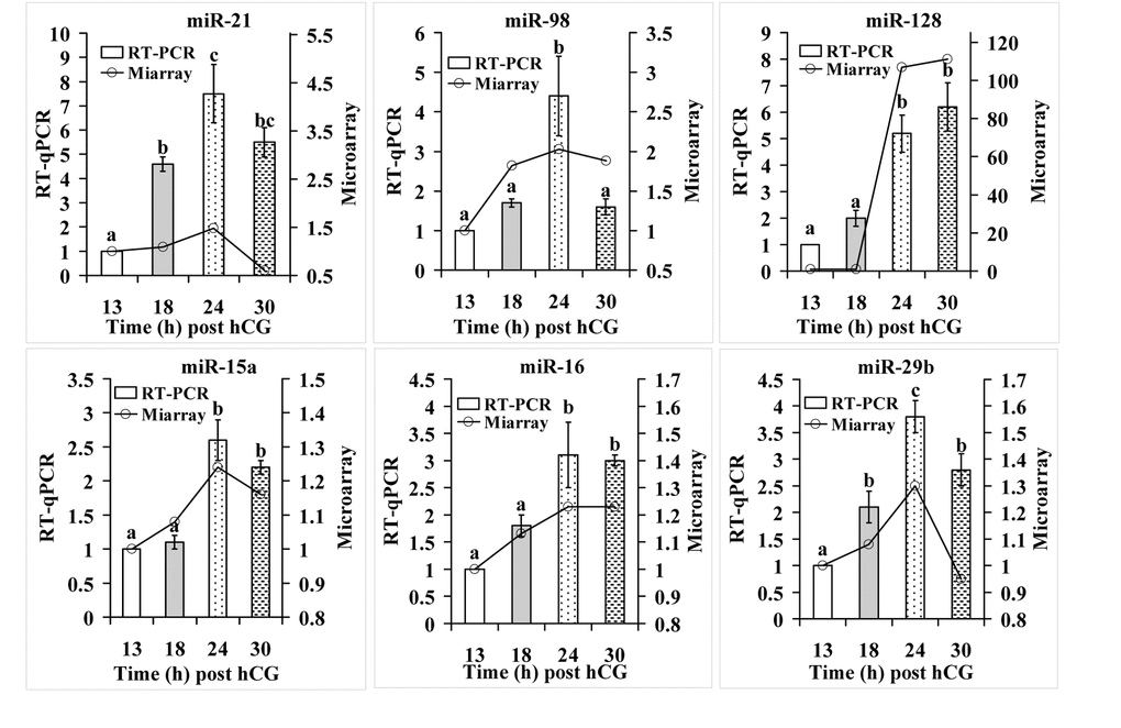 RT-qPCR verification of microarray assay results for apoptosis-related miRNAs. Each treatment was repeated 3-4 times and each replicate contained ~600 oocytes. a-c: Values with a different letter above bars differ significantly (P 