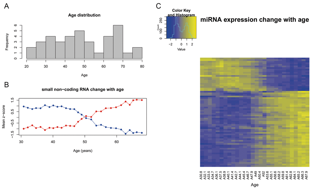 (A) Age distribution of subjects included in the study. (B) Expression of the sncRNA that progresively change with age according to the correlation analysis. y-axis represents the mean z-score values of the sncRNAs that correlate with age. Blue line represents the decreasing sncRNAs and red line represents the increasing sncRNAs. (C) Heatmap that represents the z-score value of the expression of the 69 sncRNAs correlated with age. Columns represent the mean age of the 28 sliding windows and rows are the 69 sncRNAs.