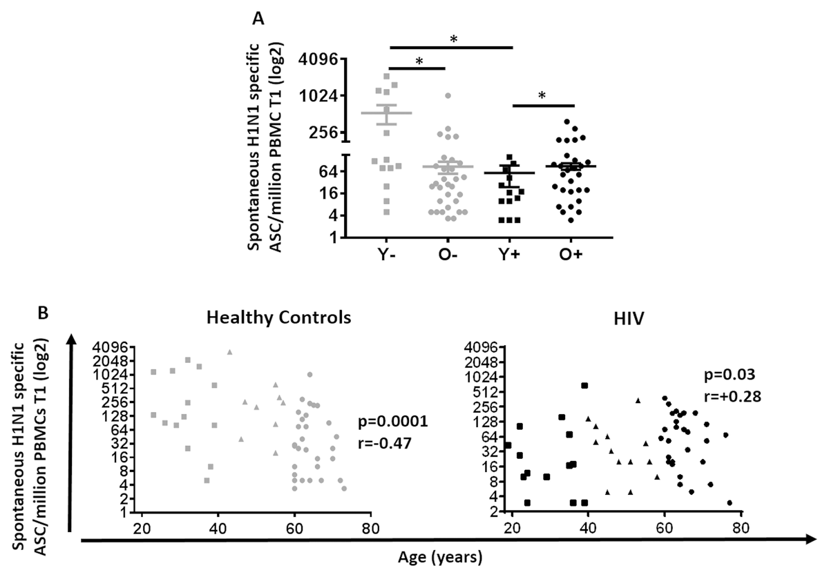 Paradoxical Aging In HIV: Immune Senescence Of B Cells Is Most ...