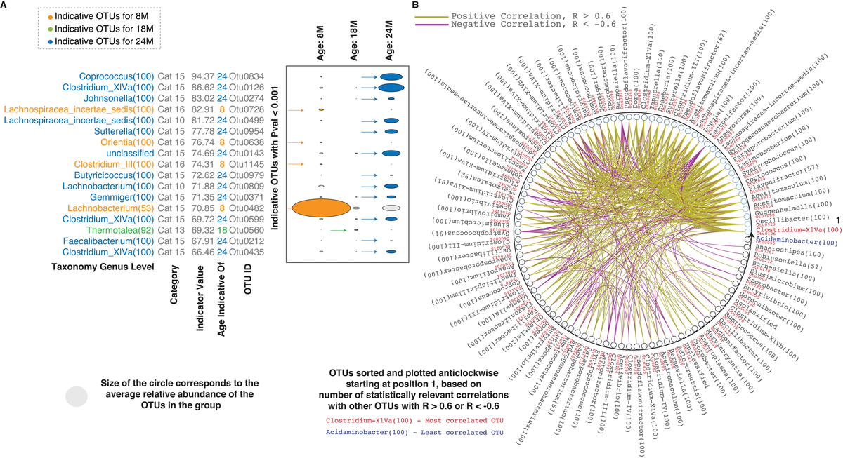 Aging And Sarcopenia Associate With Specific Interactions Between Gut Microbes Serum Biomarkers 8693