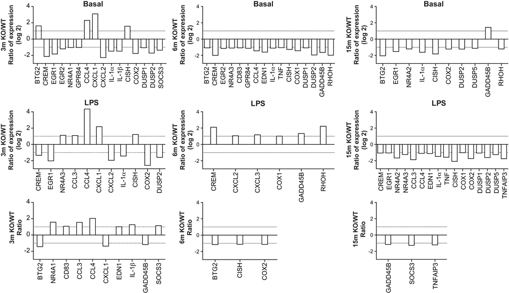 Age-matched comparisons of gene expression in leukocytes recovered from dorsal air pouches raised on wild-type (WT) and A2AR-knockout (KO) mice. Ratios were determined for the basal condition (injection of PBS only, top row), the LPS-stimulated condition (middle) and the stimulation indexes (bottom).