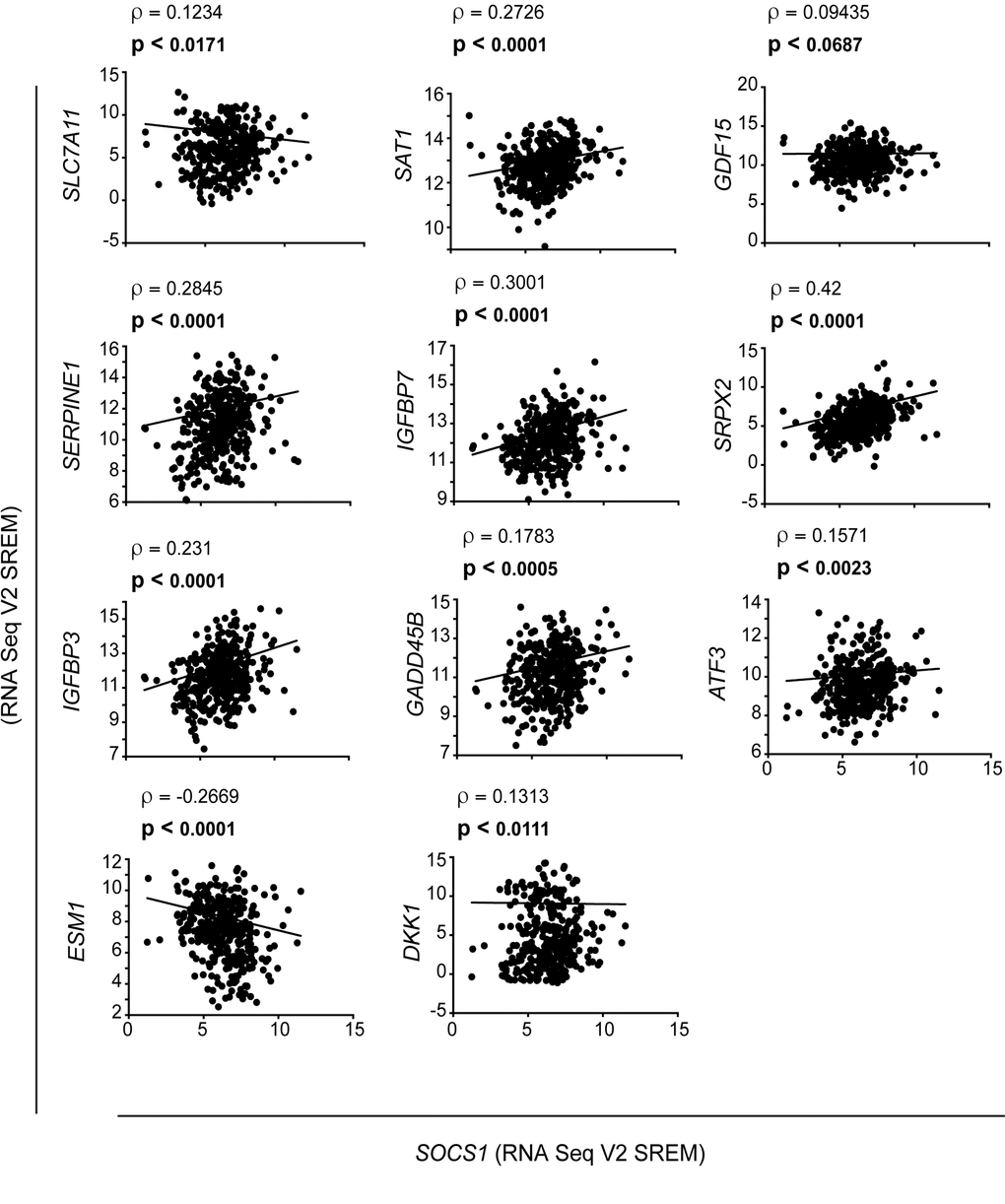 Correlation between SOCS1 and p53-target gene expression in hepatocellular carcinoma samples. The TCGA dataset human HCC specimens was analysed to determine the correlation between the expression of SOCS1 (x-axis) and the indicated p53 target genes (y-axis), as indicated by the slope. The Spearman correlation (ρ) and the p values are given at the top of each plot.