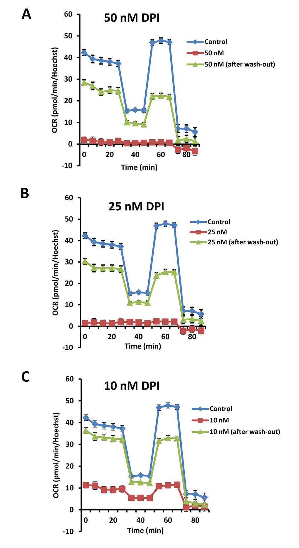 The inhibitory effects of DPI on mitochondrial respiration are reversible. To assess the reversibility of DPI’s effects after drug removal, MCF7 cells were first subjected to DPI treatment for 24 hours. Then, the DPI was removed by washing with normal media and the cells were cultured for an additional 24 hours to allow them to recover. This cycle of DPI-treatment, “wash-out” and recovery was carried out over a concentration range of 10 to 50 nM DPI. Note that with 10 nM DPI, there was a near complete recovery of basal respiration, after only 24 hours. Higher concentrations (25 and 50 nM) still showed significant recovery, but the recovery was not complete at this time point.