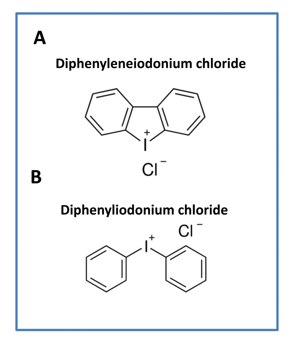 Comparison of the structures of (A) Diphenyleneiodonium (DPI), with the related compound (B) Diphenyliodonium chloride. Note the key similarities between these two chemical structures. Both of these classes of molecules target flavin-containing proteins.