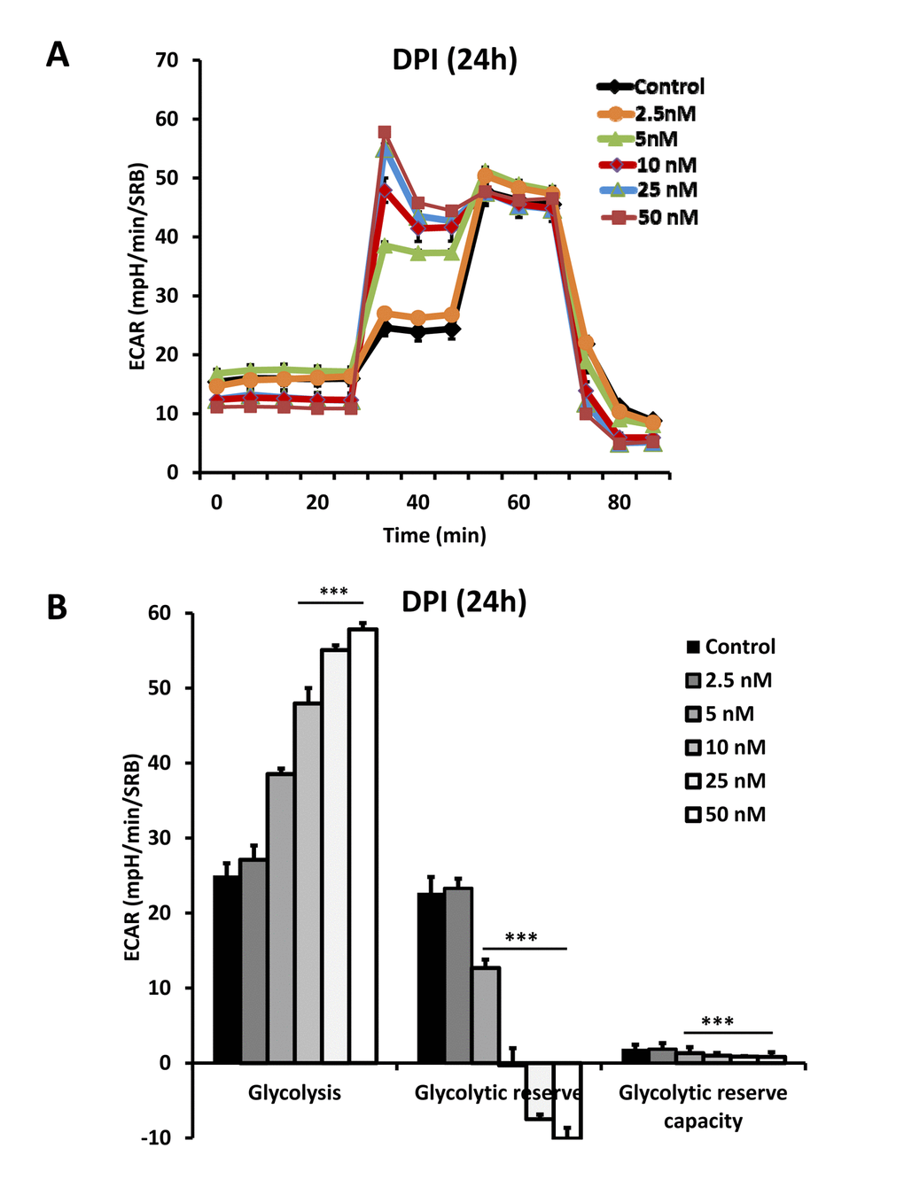 DPI induces a reactive glycolytic response. After 24 hours of treatment with DPI (2.5 to 50 nM), MCF7 cells were subjected to metabolic flux analysis with the Seahorse XFe96, which also measures ECAR (the extracellular acidification rate), a surrogate marker for L-lactate production. Note that at a concentration of 2.5 nM, little or no effect was observed. However, at 10 nM, glycolysis was increased by 2-fold. *** p