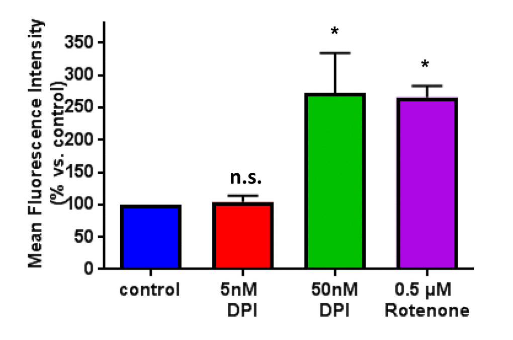 Effect of DPI treatment on mitochondrial ROS production.The effects of DPI on mitochondrial ROS production were determined over the range of 5 to 50 nM. Note that at a concentration of 5 nM, DPI failed to induce mitochondrial ROS production. In contrast, 50 nM DPI induced the same amount of mitochondrial ROS as 500 nM Rotenone, which was used as a positive control. Mitochondrial ROS production was monitored by FACS analysis, using MitoSOX as a fluorescent indicator. * p