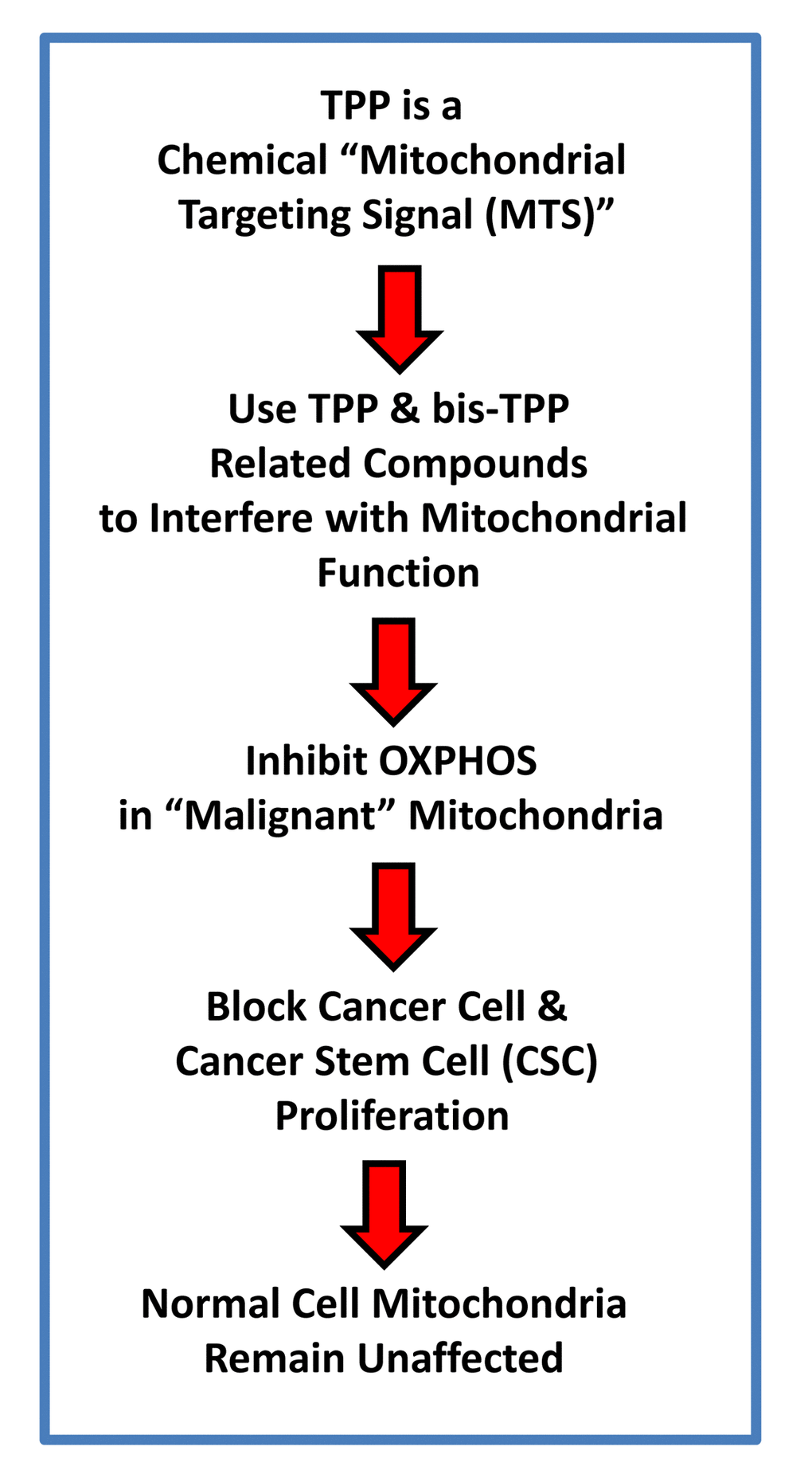 TPP-related compounds provide a novel chemical strategy for targeting “bulk” cancer cells and CSCs, while minimizing off-target side-effects in normal cells. Our results suggest that “malignant” mitochondria are functionally distinct from “normal” mitochondria. See text for further details.