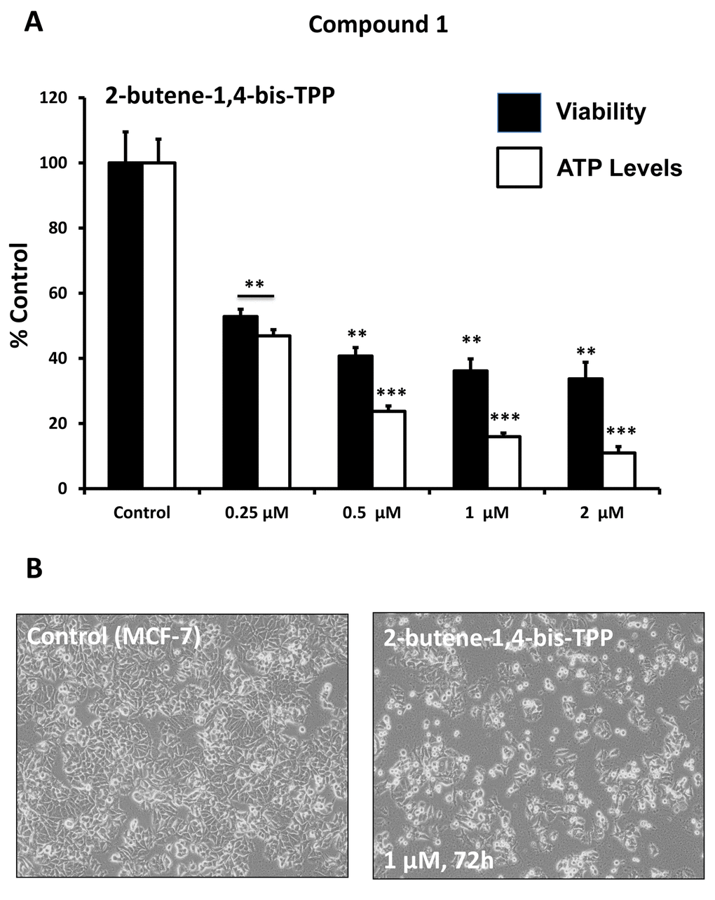 Effect of TPP derivatives on cell viability and intracellular ATP levels in MCF-7 human breast cancer cells: Compound 1. Cell viability and intracellular ATP levels were determined in the same treated samples. Hoechst staining (%) (shown in black bars); ATP levels (%) indicated in white bars. MCF-7 cells were treated for 72h. Data are represented as mean +/- SEM. Note that 2-butene-1,4-bis-TPP depletes ATP levels, relative to cell number. **p 