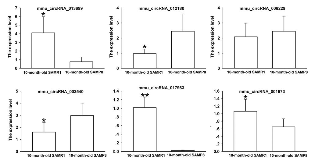 The expression levels of candidate circRNAs for validation by real-time qPCR in 15 10-month-old SAMR1 and SAMP8 hippocampal tissues. Statistically differences were calculated by t-test using SPSS 13.0 software. *PP