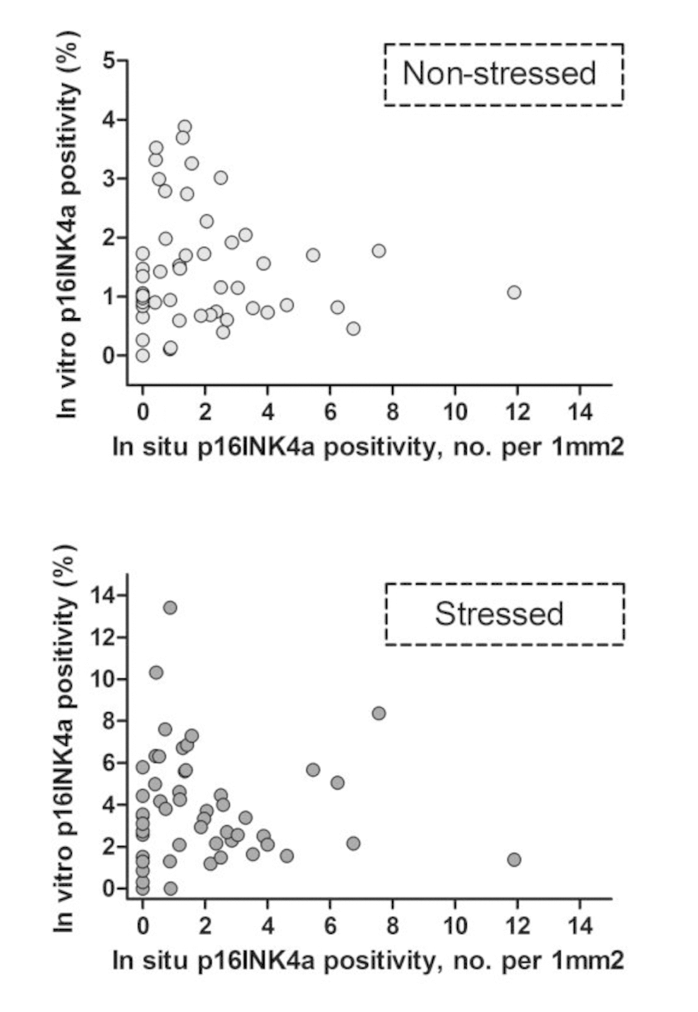 Intra-individual correlations: in vitro versus in situ p16INK4a positivity. Each dot represents an individual donor, N=52. In vitro p16INK4a positivity: percentage of p16INK4a positive cells - mean of experiments I and II. In situ p16INK4a positivity: number of p16INK4a positive cells per 1mm2 dermis. Uncorrected (not log transformed) data points are shown.