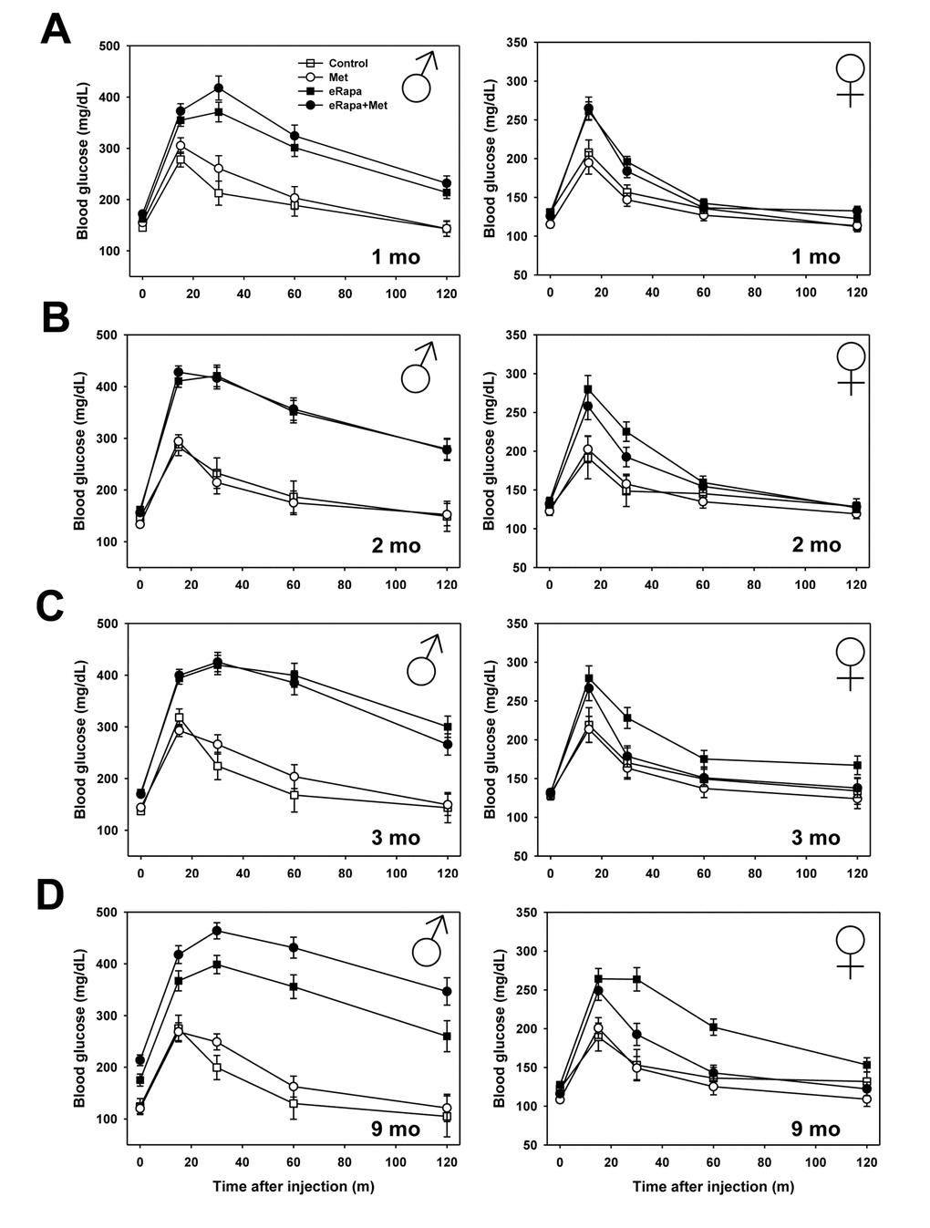 Metformin abrogates rapamycin-mediated glucose intolerance in female mice. Glucose tolerance tests performed in male (left) and female (right) mice following (A) 1, (B) 2, (C) 3, or (D) 9 months of indicated diet treatments. Symbols represent mean values for indicated group at each time point ± SEM. For all groups, n=8-10.