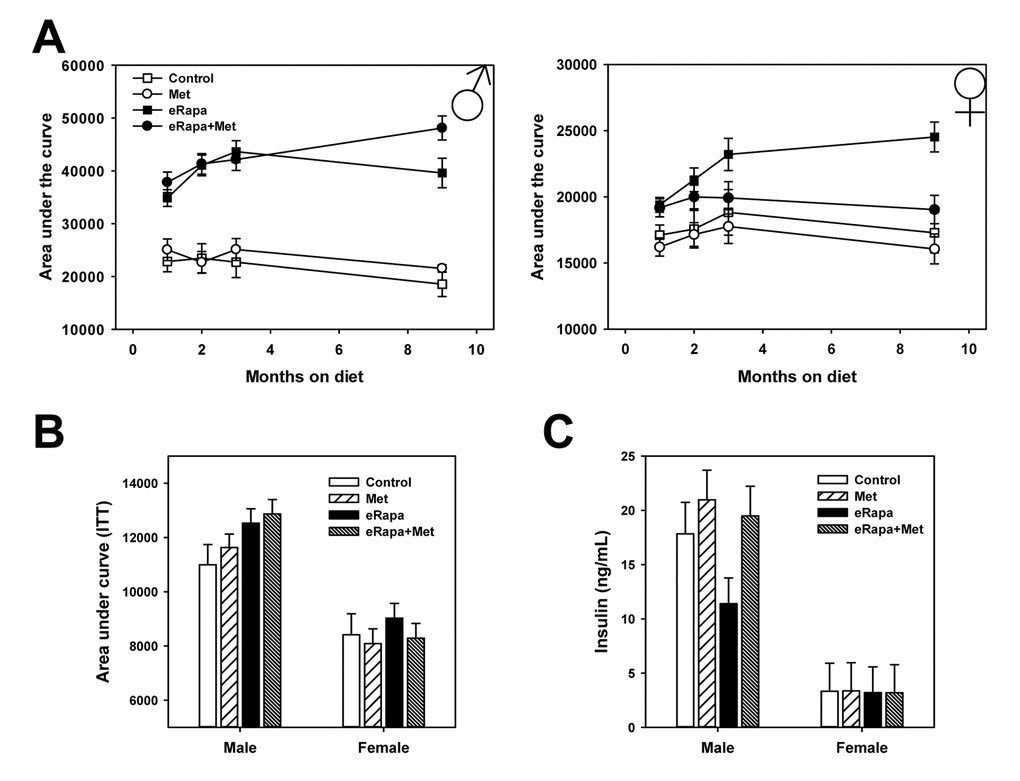 Combined effects of rapamycin and metformin on glucose metabolism. (A) Area under the curve for glucose tolerance tests repeated in the same cohort of animals following indicated months of treatment. Symbols represent mean values for indicated group at each time point ± SEM. (B) Area under the curve calculated for insulin tolerance tests performed following 3 months of treatment. Bars represent mean values for indicated group at each time point ± SEM. (C) Insulin concentration in plasma collected from fed mice following 9 months of treatment on the indicated diets. Bars represent mean values for indicated group at each time point ± SEM. For glucose and insulin tolerance test, n=8-10 for all groups. For insulin measurements, n=8-10 for all groups.