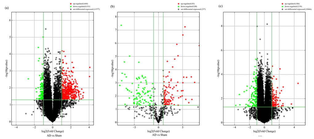 Volcano plot of differentially-expressed circRNAs (A), miRNAs (B), and mRNAs (C) between AD and sham hippocampal samples. Volcano plots were constructed using fold-change values and p-values. The vertical lines correspond to 2.0-fold up- and down-regulation between normal and AD samples (N vs.D), and the horizontal lines represent p-values. Red plot points represent differentially-expressed circRNAs with statistical significance.
